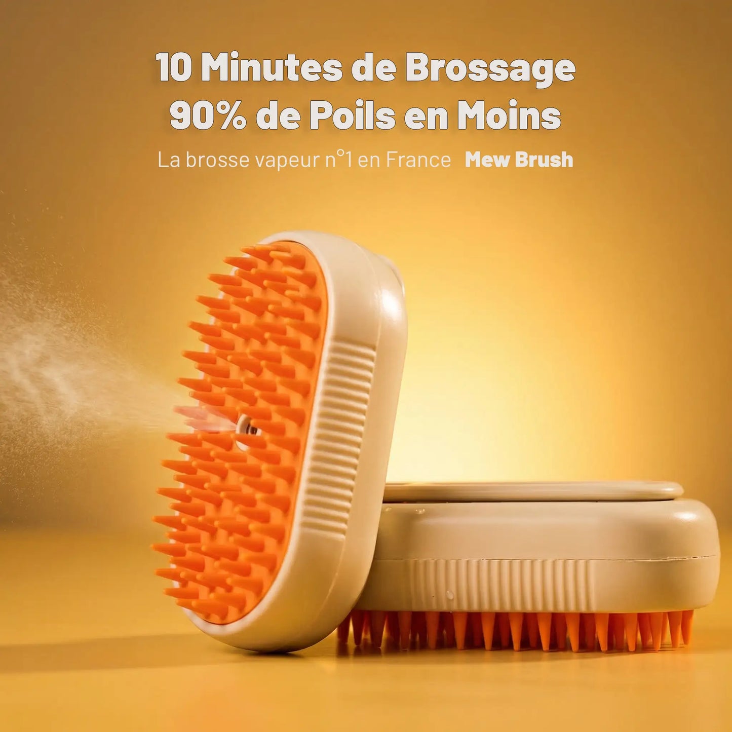 Mew Brush - Brosse Vapeur pour Chats & Chiens