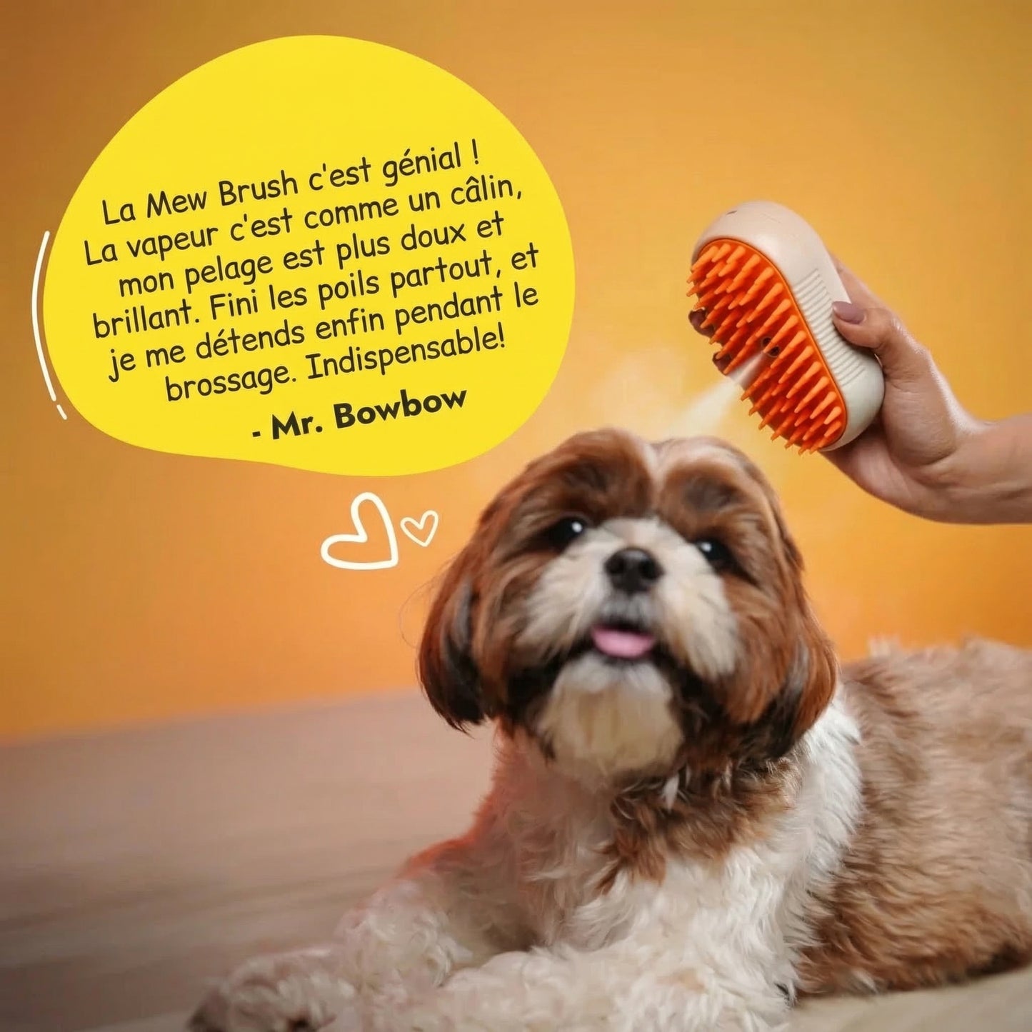 Mew Brush - Brosse Vapeur pour Chats & Chiens
